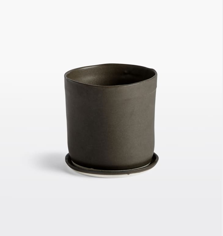 Product Image: Judy Jackson Planter with Saucer