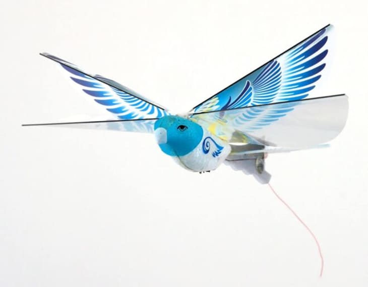 Product Image: Remote Control Bluebird