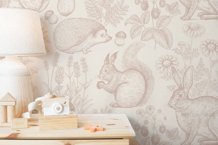 Product Image: Whimsical Woodland Animals Removable Wallpaper