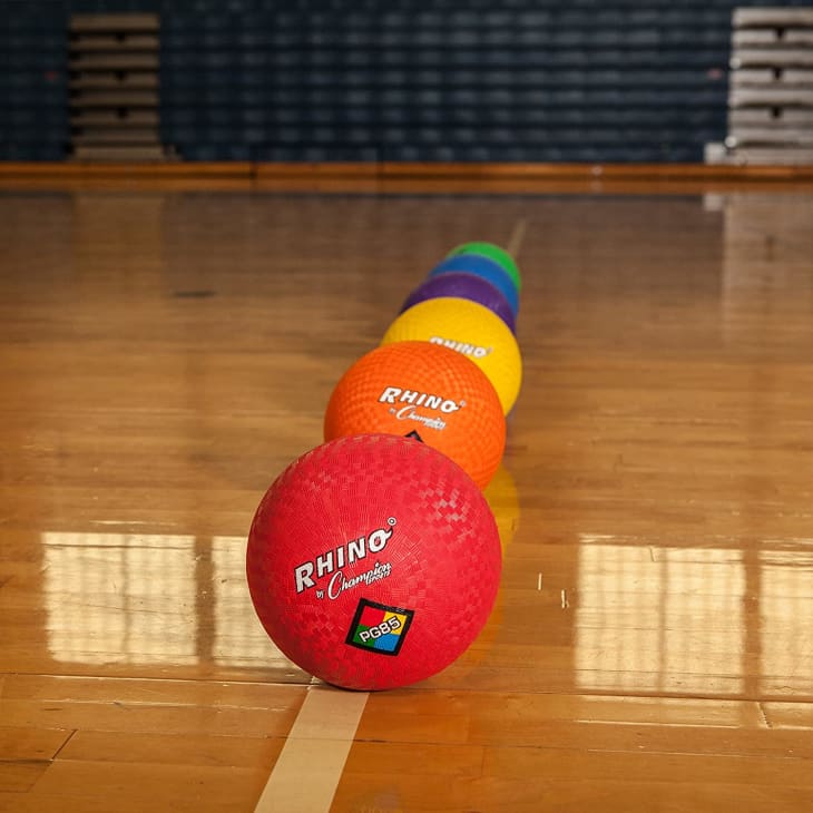Product Image: Champion Sports Rhino Playground Balls