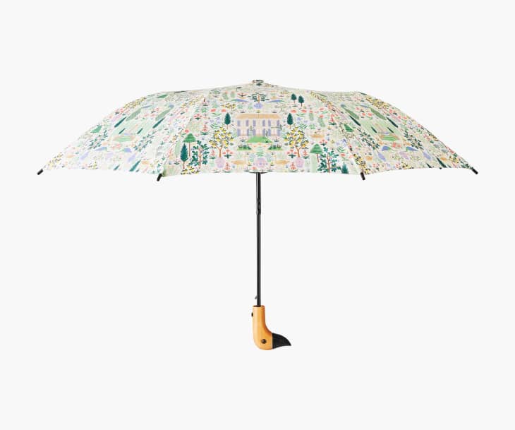 Product Image: Camont Umbrella