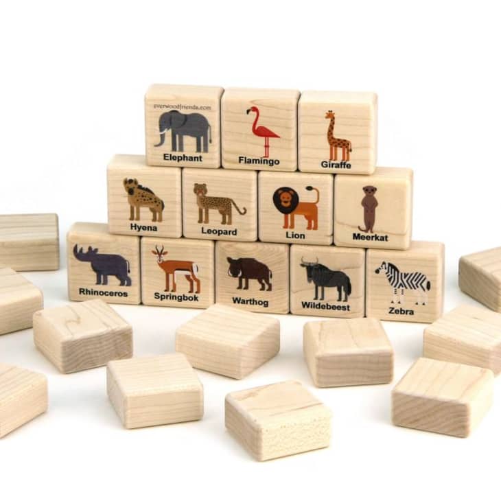 Everwood Friends African Safari Matching Game at West Elm