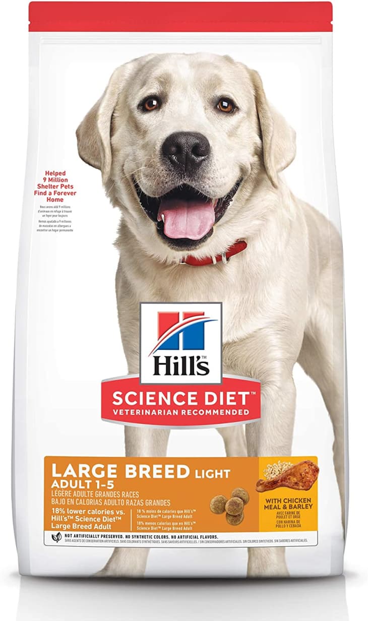 Hill's Science Diet Dry Dog Food at Amazon