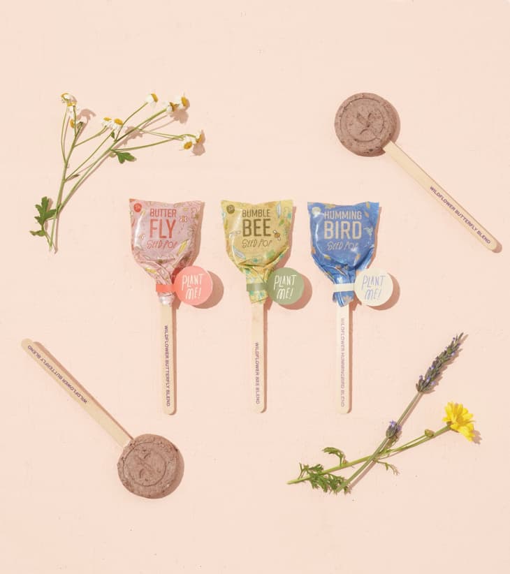 Modern Sprout Pollinator Seed Lollipops Set Of 3 at World Market