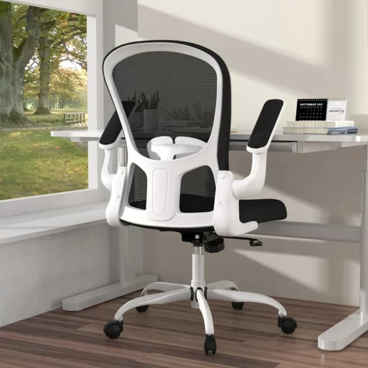 Product Image: Silybon Ergonomic Office Chair