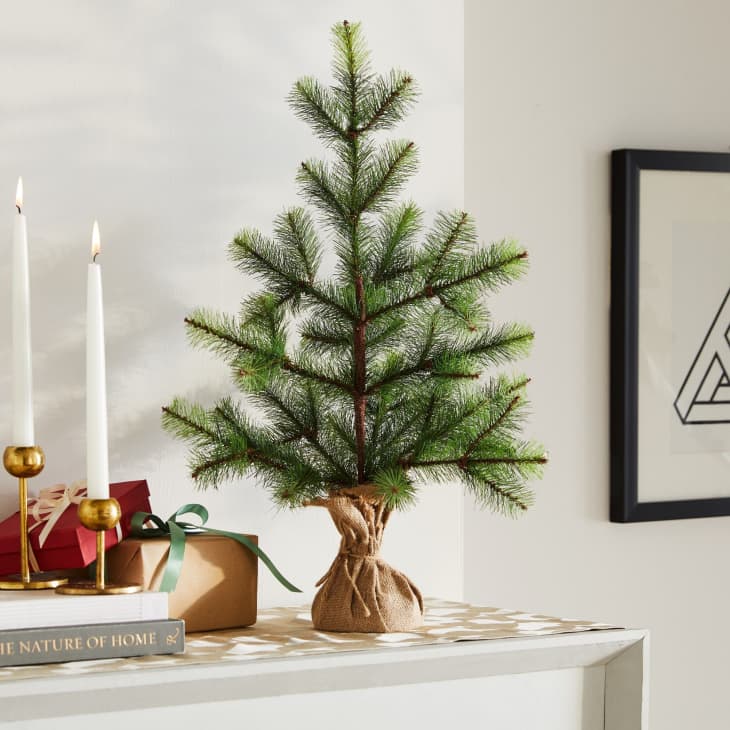Product Image: Simple Tabletop Tree
