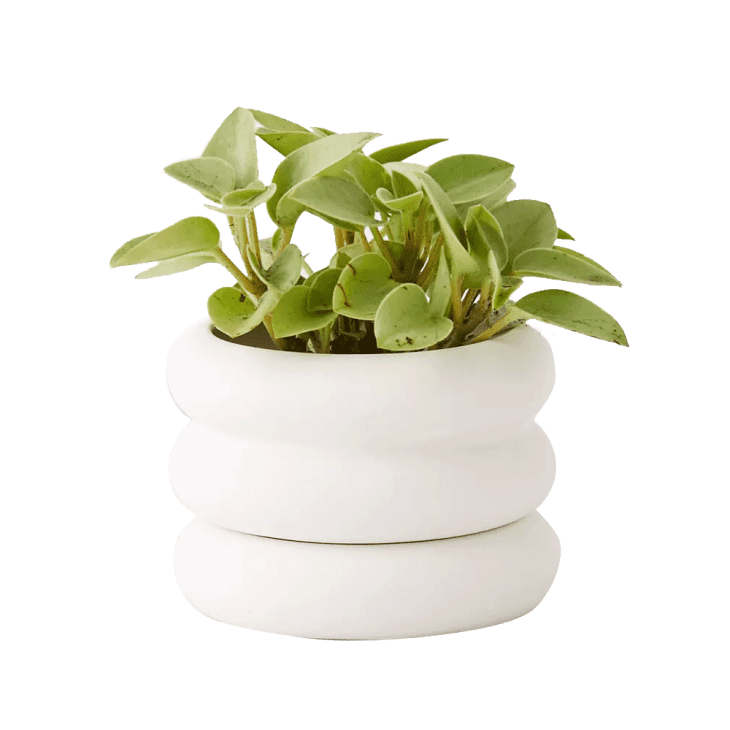 Areaware Mini Stacking Planter at Urban Outfitters