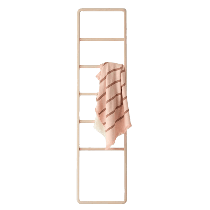 Hinoki Wood Ladder at The Citizenry