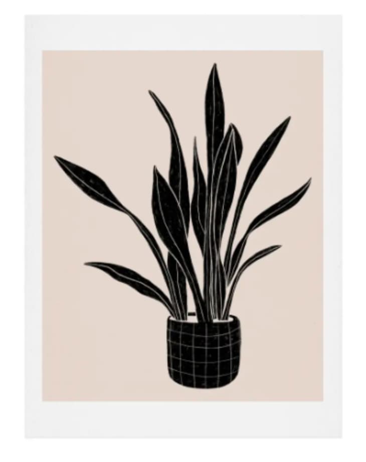 Product Image: Deny Designs Snake Plant Art Print