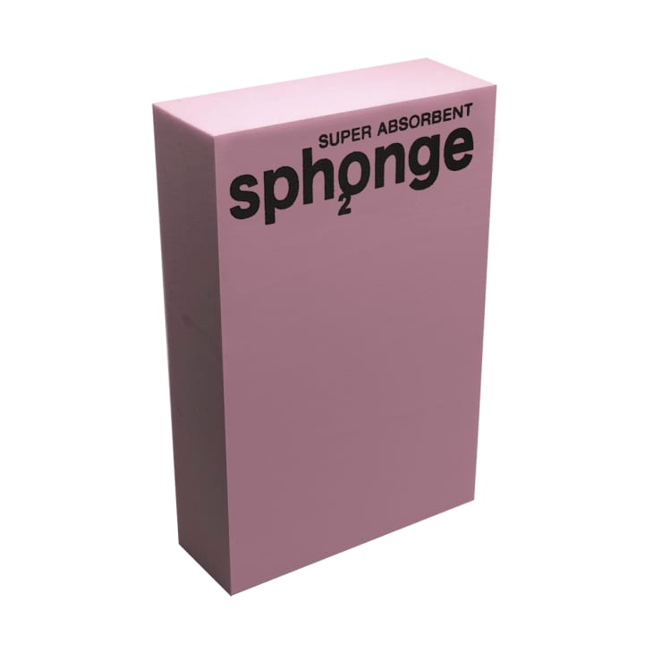 The Original Sph2onge at Sph2onge