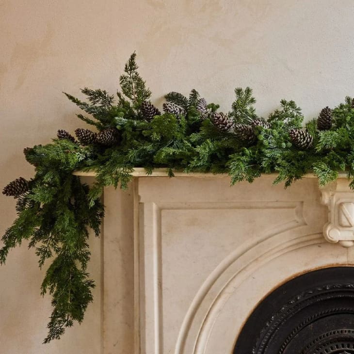 Product Image: Real Touch Spruce and Pine Cone Garland