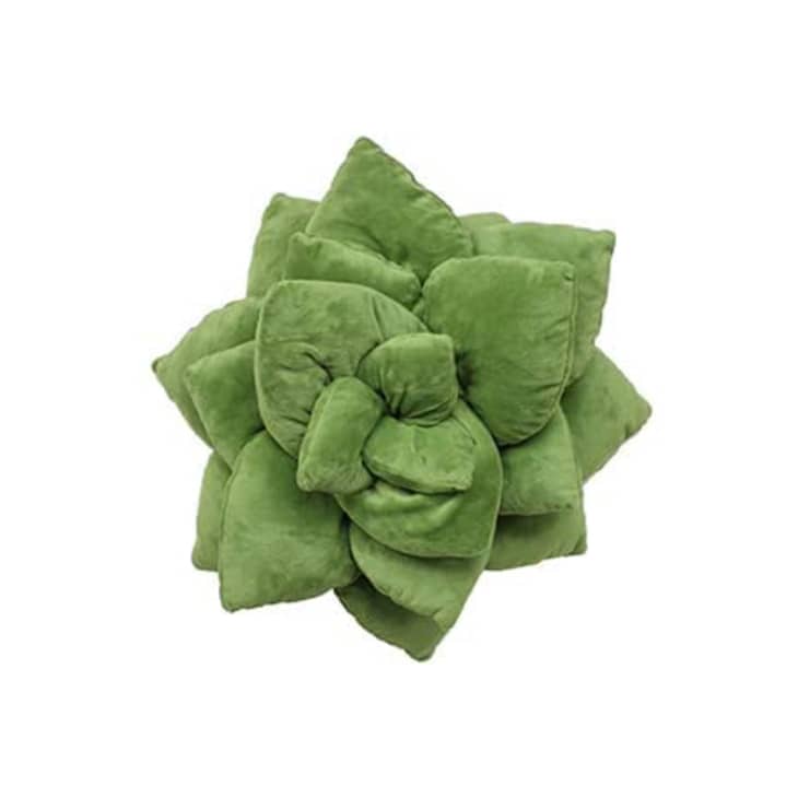 Product Image: Green Philosophy Co. Succulent Pillow