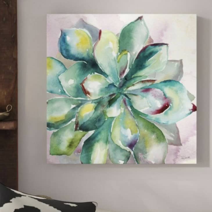 Product Image: Succulent Paint-by-Number Kit