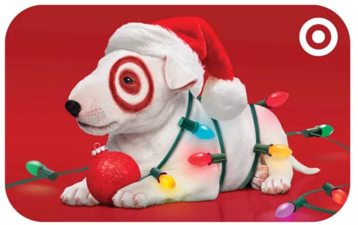 Puppy with Lights GiftCard at Target