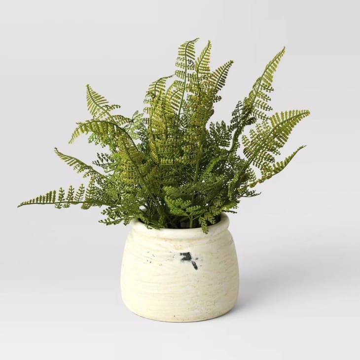 Product Image: Studio McGee Artificial Small Fern