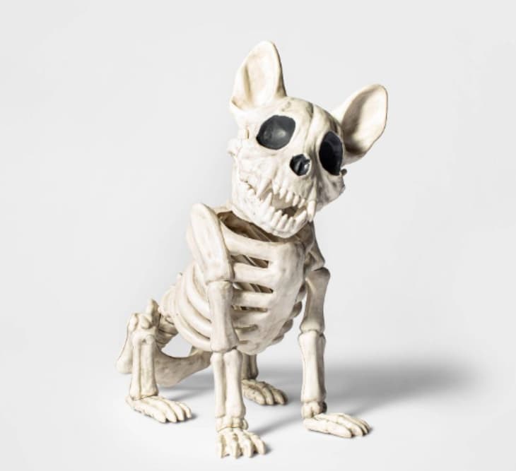 Europalms Halloween Skeleton Dog, 71x40x25cm