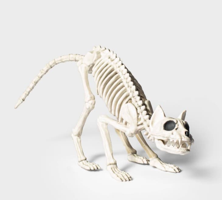 产品图片:猫骨架万圣节装饰道具