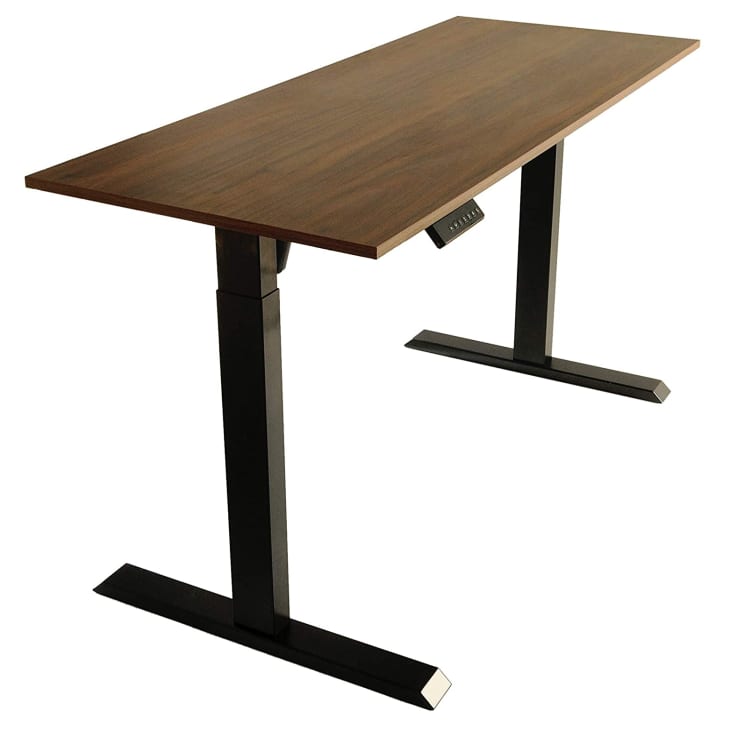 Product Image: TechOrbits Electric Standing Desk