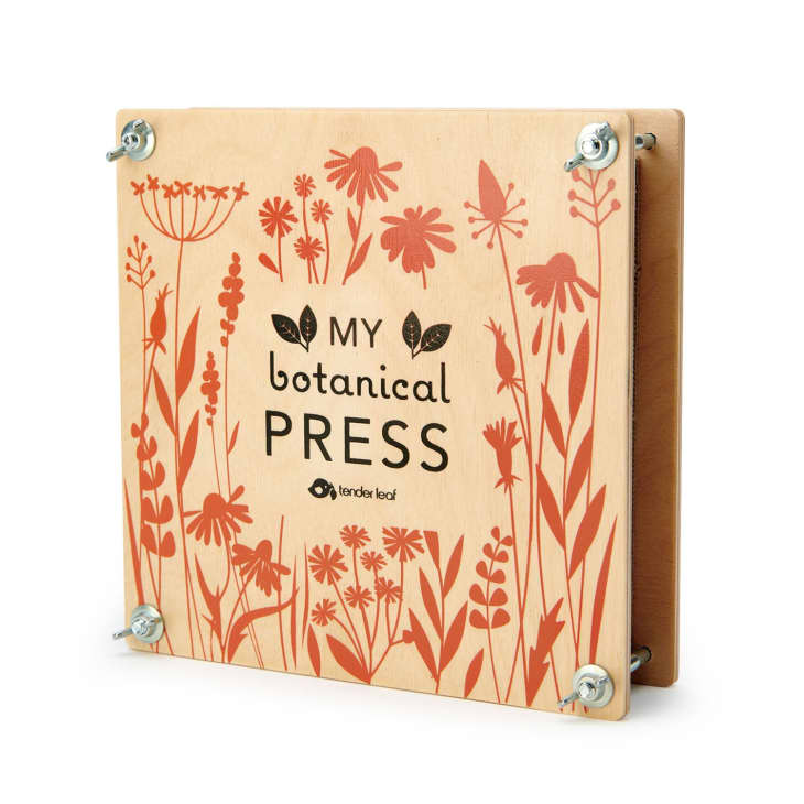 Product Image: My Botanical Press by Tender Leaf Toys