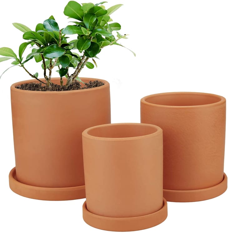 Terracotta Cylinder Plant Pots, Set of 3 at Amazon