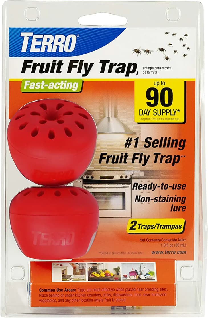 Terro Fruit Fly Trap, 4-Pack at Amazon