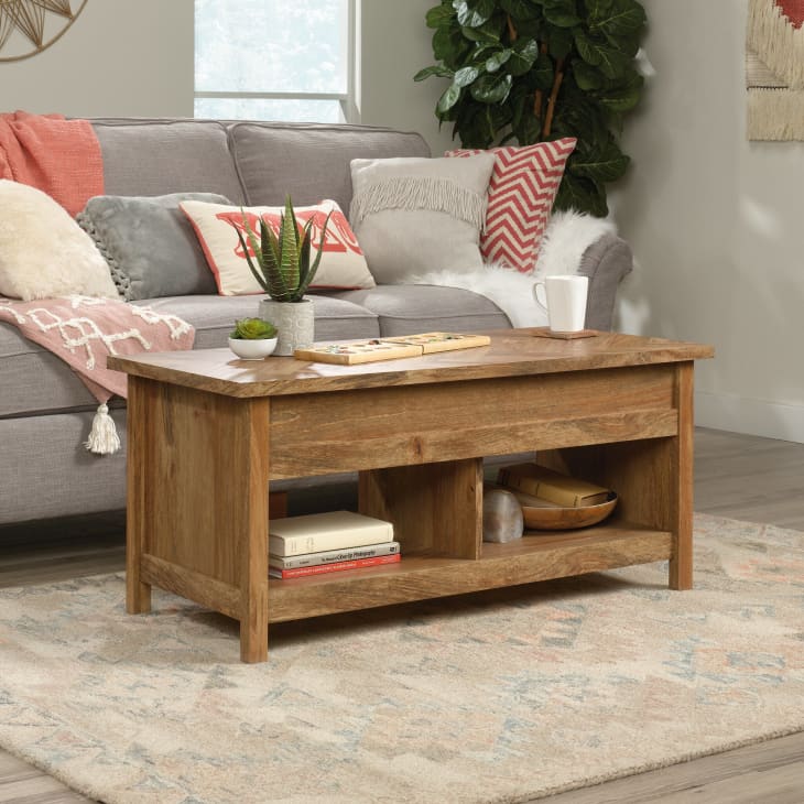 Greyleigh Tilden Lift Top Coffee Table with Storage at Wayfair
