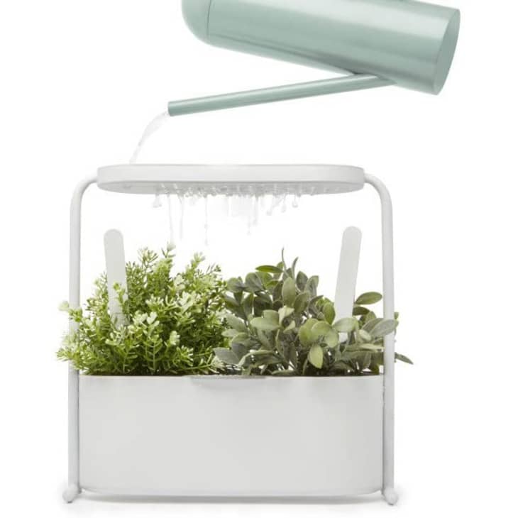 Product Image: Umbra Giardino Planter Box