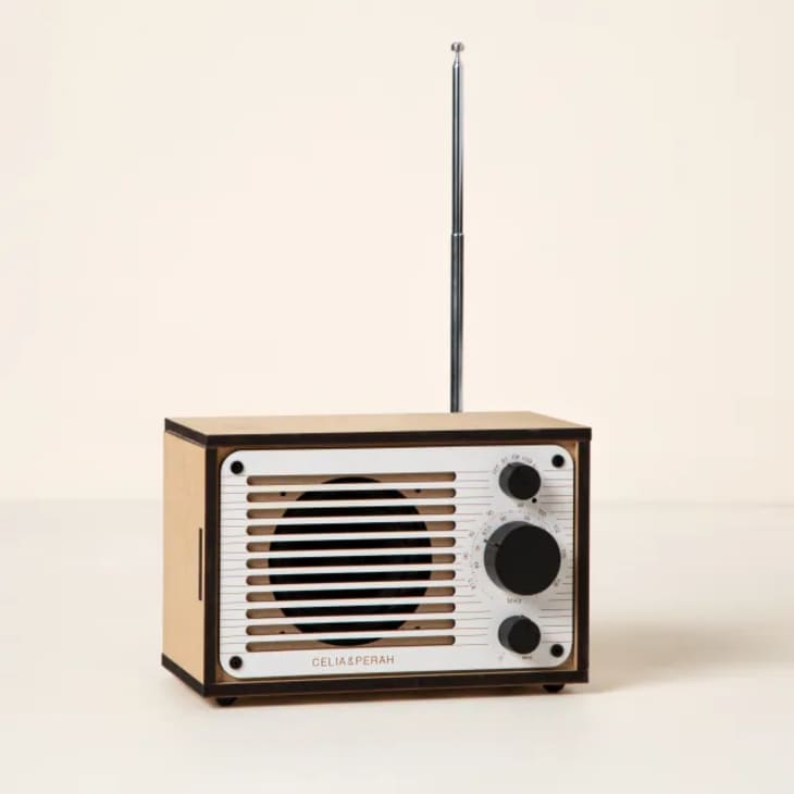 Build Your Own Bluetooth and FM Radio at Uncommon Goods