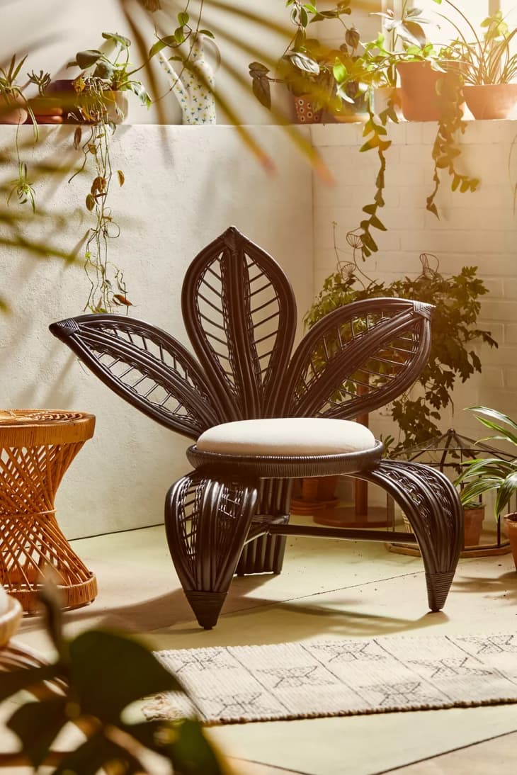 Product Image: Arya Rattan Chair
