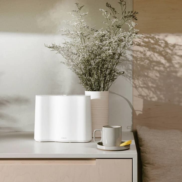 Product Image: Cloud Cool Mist Humidifier