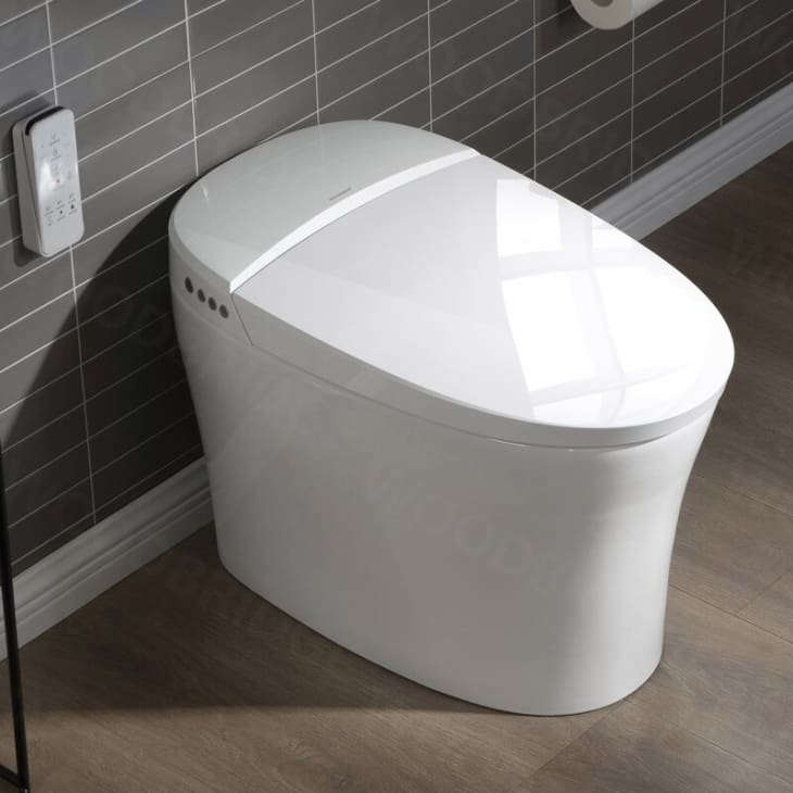 Product Image: WoodBridge B0970S 1.28 GPF Elongated Bidet Toilet