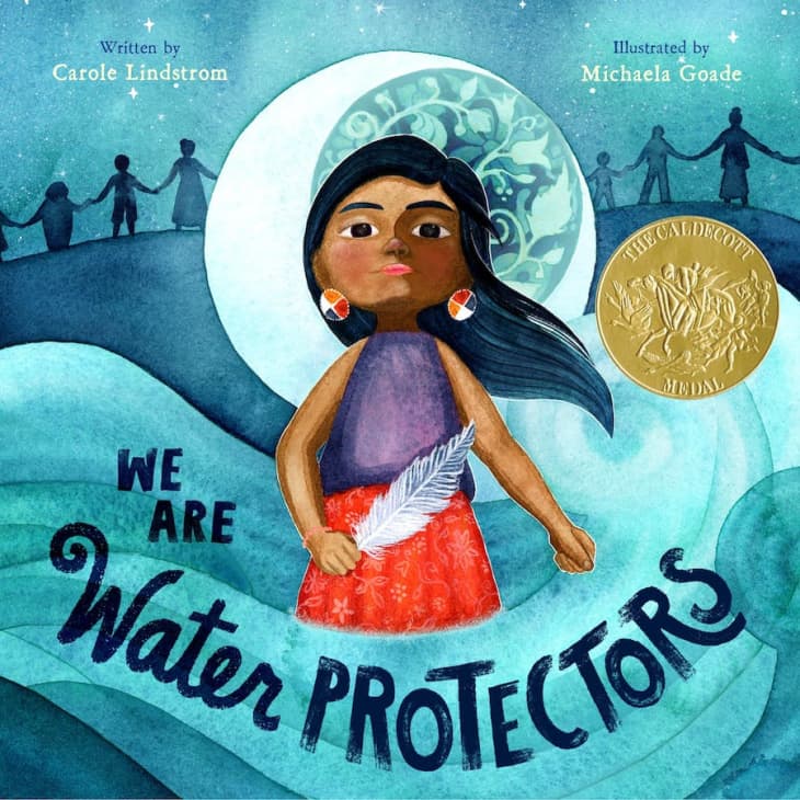 Product Image: We Are Water Protectors, by Carole Lindstrom
