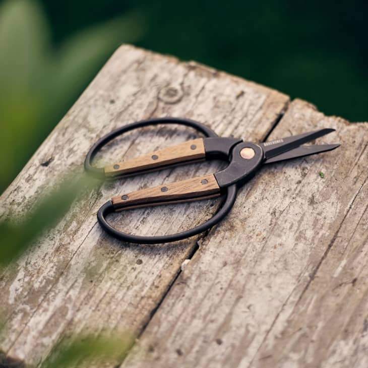 Product Image: Garden Scissors