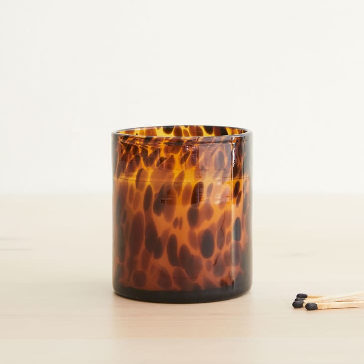 Tortoise Glass Candles - Vetiver Oud at West Elm