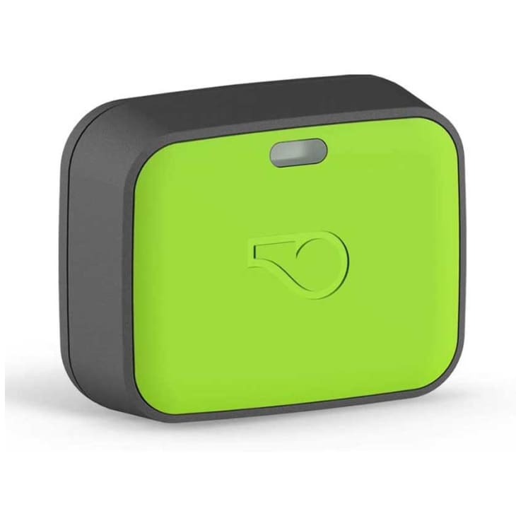 Product Image: Whistle Go Explore Health & Location Tracker