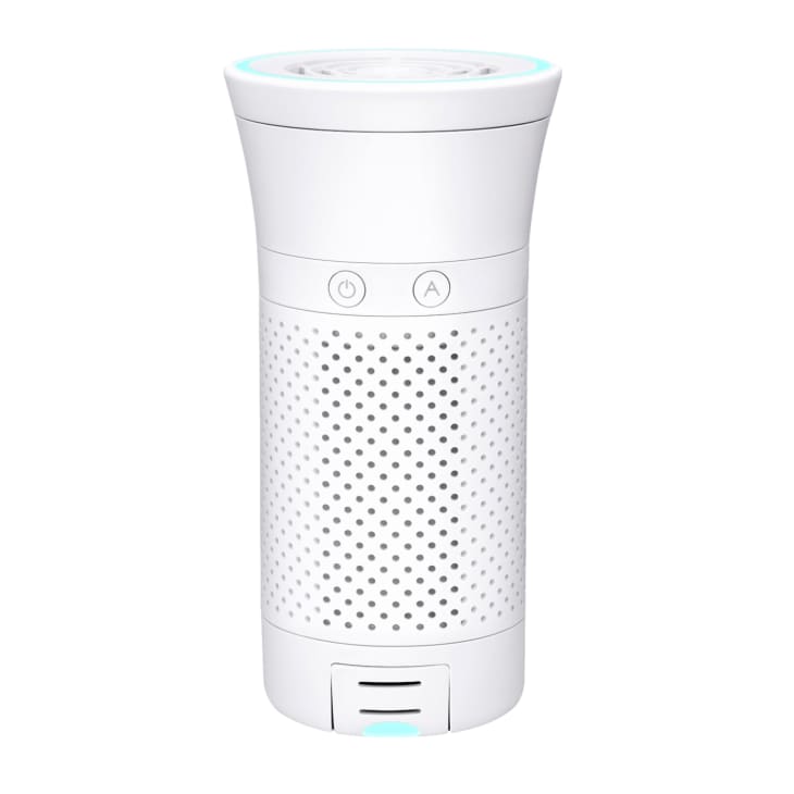 Wynd Plus Personal Air Purifier at Best Buy