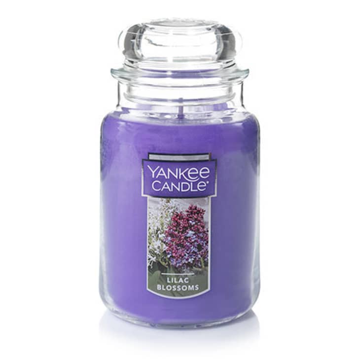Lilac Blossom Candle at Yankee Candle