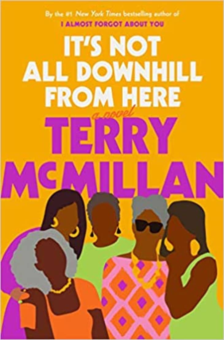 Product Image: It’s Not All Downhill from Here by Terry McMillan