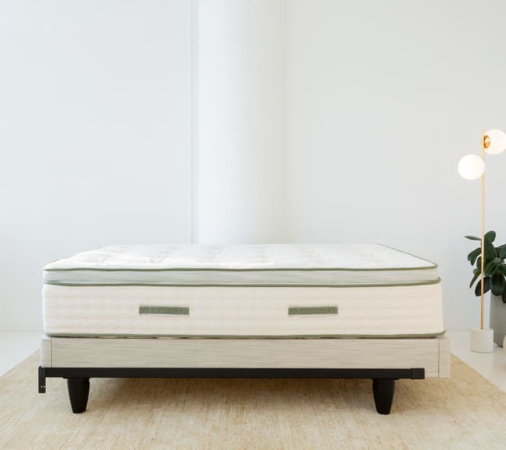 Under Bed Storage  Avocado Green Mattress