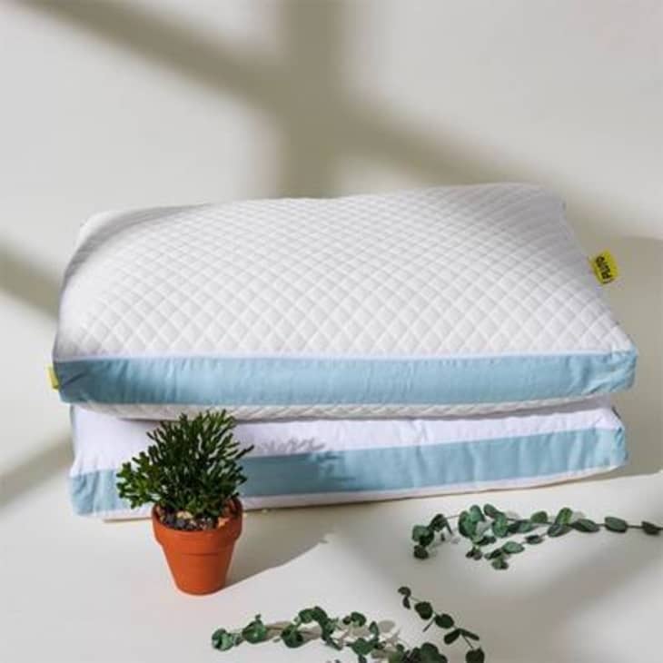 Pillow Stuffing 101: Which Cushions are the Best Quality? – SleepCosee