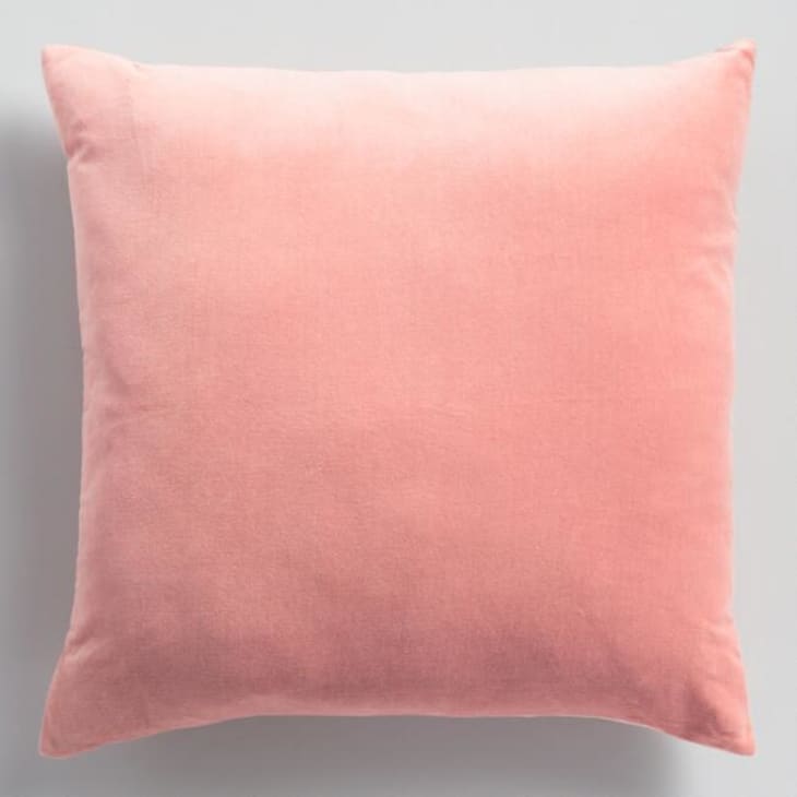 Salmon Pink Velvet Throw Pillow at World Market
