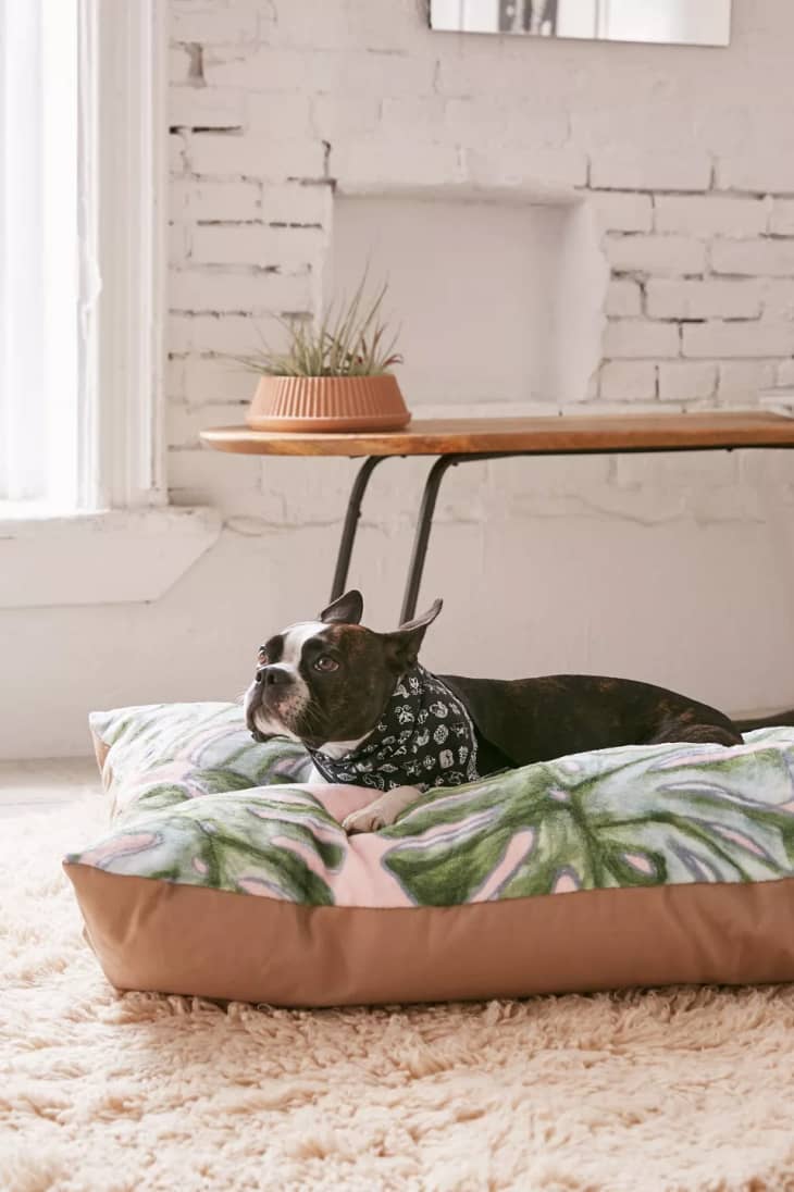10 Best Dog Beds for BohoChic Spaces Apartment Therapy