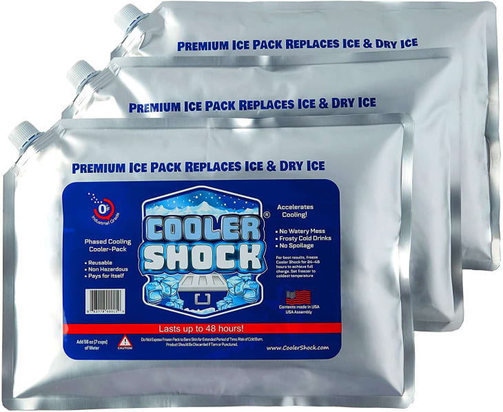 Best Ice Packs on Amazon Cooler Shock Reusable Ice Pack The Kitchn