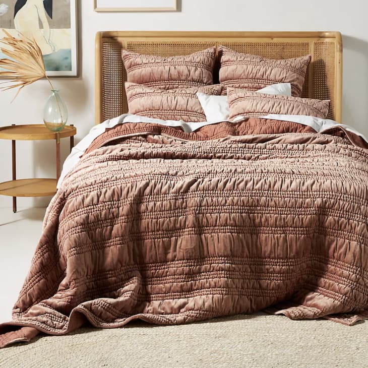 Best coverlet shop