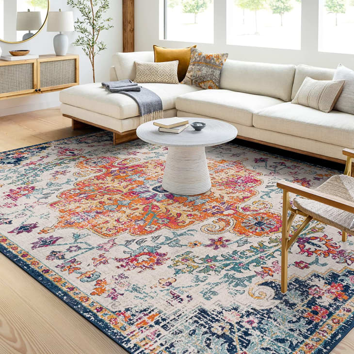 10 Best Rugs Under 100 Target, Wayfair, Overstock Apartment Therapy