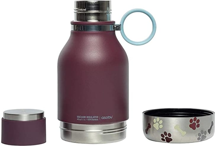 Dog water bottle hotsell with bowl attached