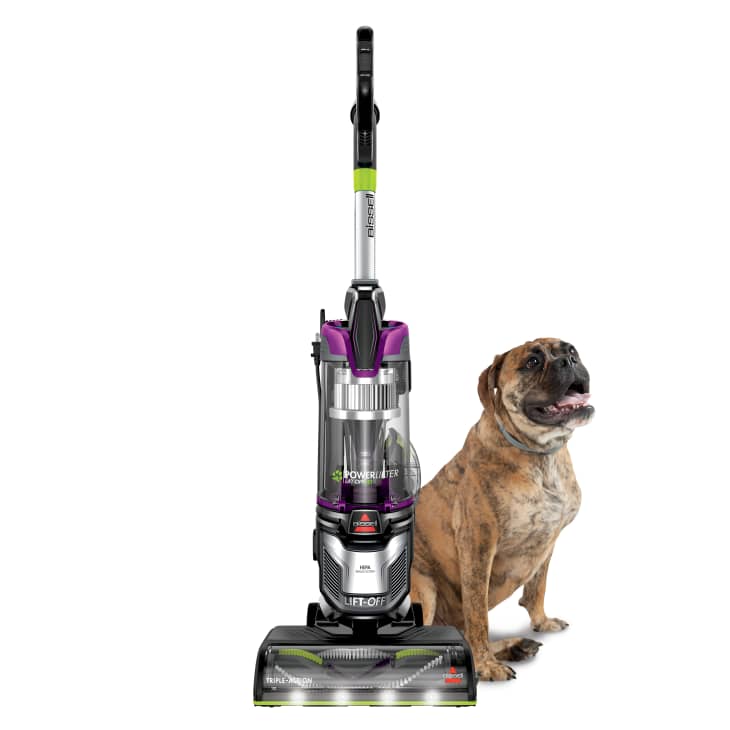 Best Deals on Vacuums: Roomba, Shark, Bissell, and More! | The Kitchn