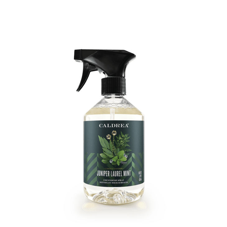 The 6 Most Amazing Smelling Countertop Cleaners of All Time The Kitchn