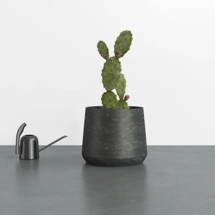 15 Best Places to Buy Planters Online in 2024 | Apartment Therapy