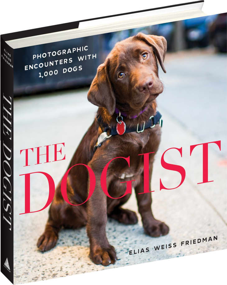 33 GiftWorthy Coffee Table Books for 2021 Apartment Therapy